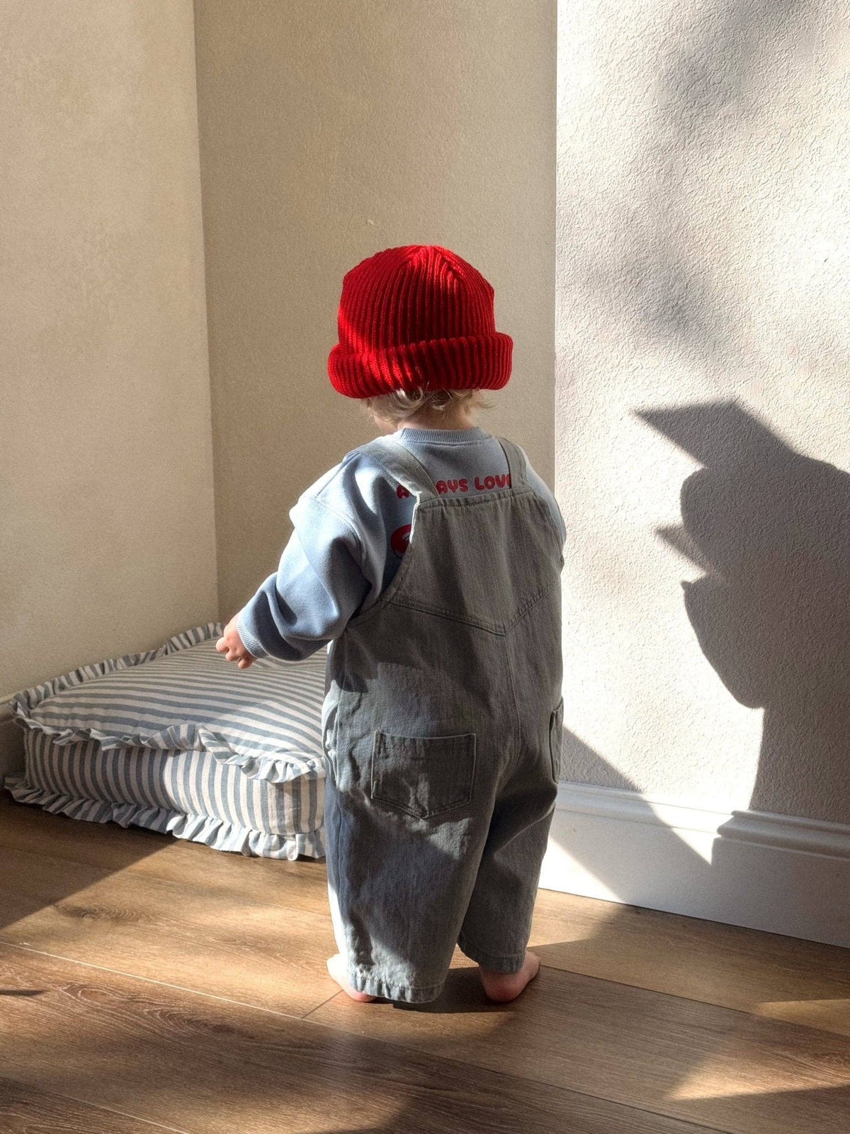 Toddler Denim Overalls