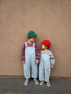 Toddler Denim Overalls