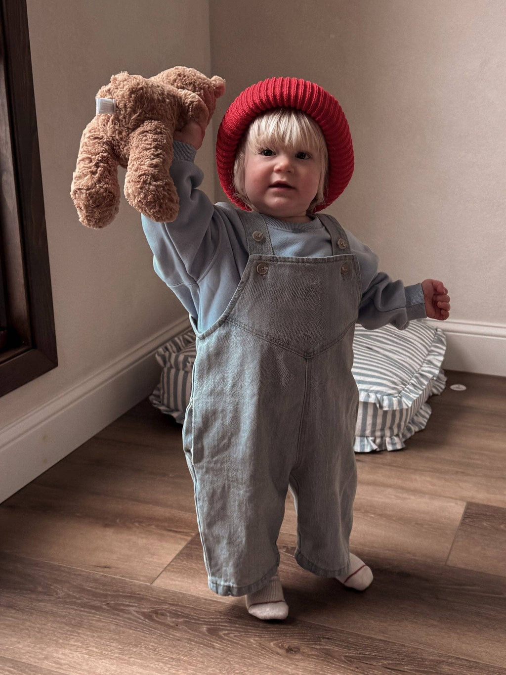 Toddler Denim Overalls