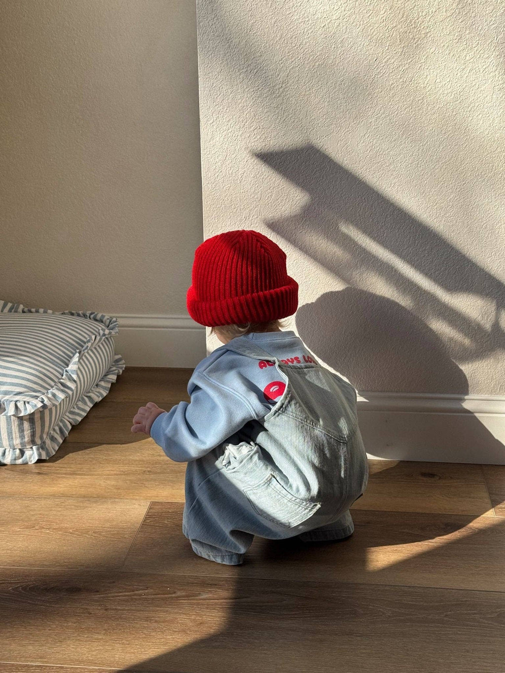 Toddler Denim Overalls
